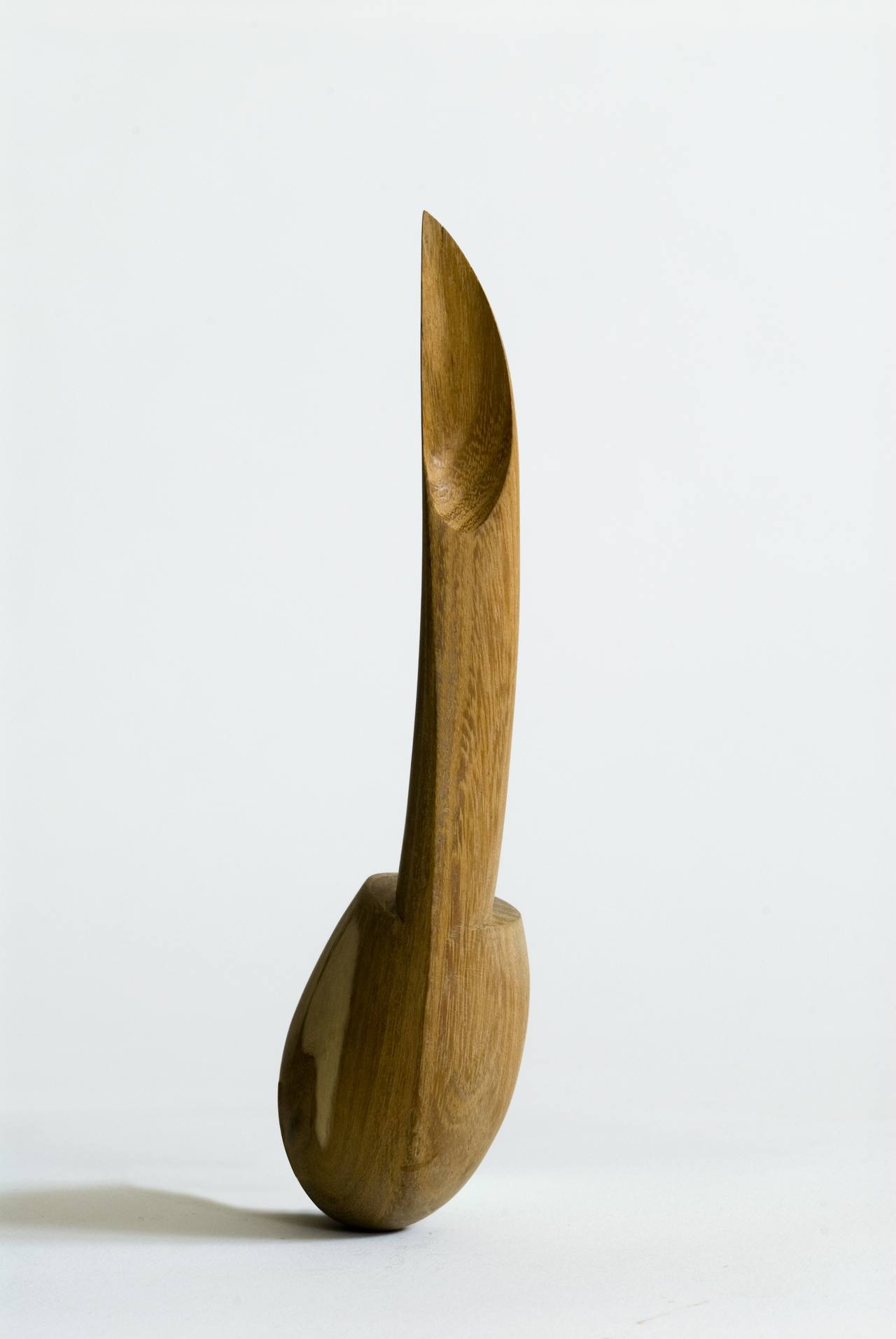 'EVA'S APPLE CORER' / 1990 / study Design Academy Eindhoven