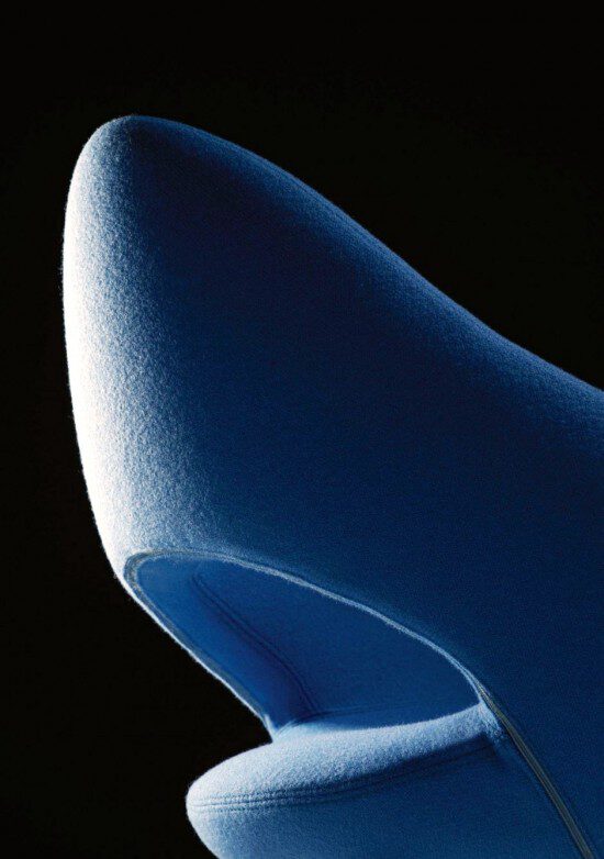 Shark detail Shark detail