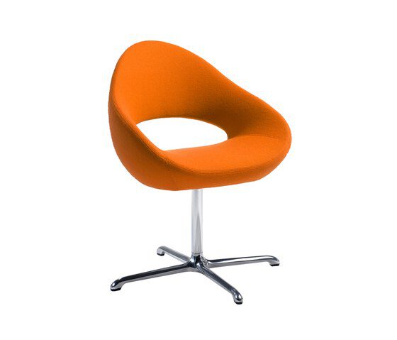Shark orange Shark orange